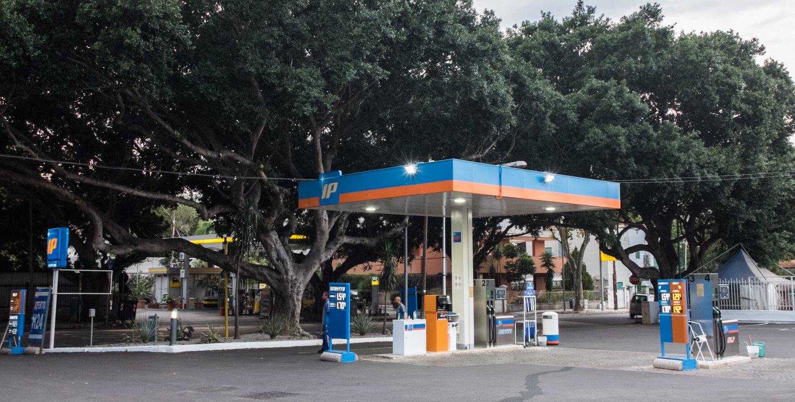 IP REGINA MARGHERITA (2)